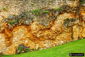 Wall