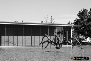 Crouching Spider 6695 de Louise Bourgeois 2