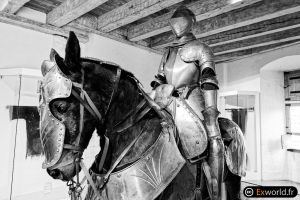 Castelnaud VI