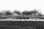 Louvre Lens 12