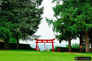 Torii IV