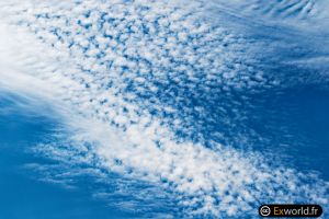 Altocumulus stratiformis