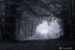 Tunnel