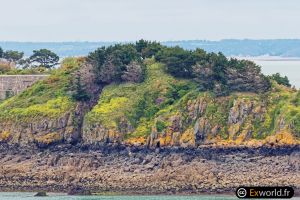 L'île des Mouettes