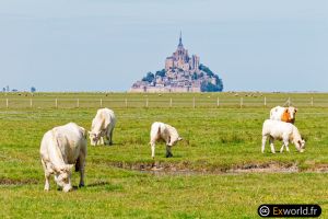 Mont Saint Michel II