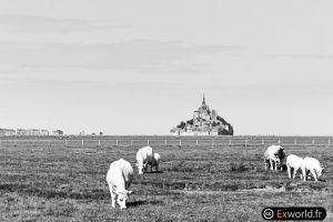 Mont Saint Michel IV