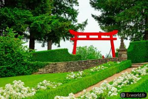 Torii