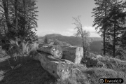 Grumes