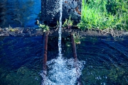 H2O