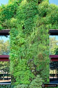 Green Wall