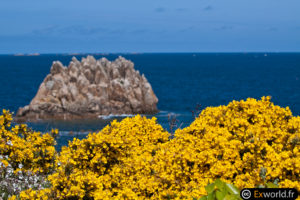 L'île de Bréhat