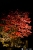 chion_in-13