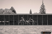 Crouching Spider 6695 de Louise Bourgeois 7