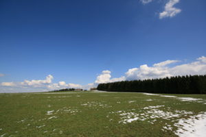 Cumulus en formation