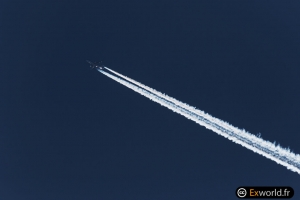 PH-BQF B777-206 (ER) KLM