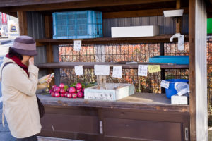 radis à Takayama