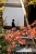 eikando-18.jpg