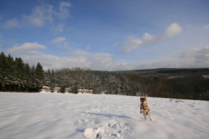 Enfin le beau temps