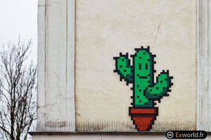 Cactus