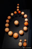 Les 23 perles de l\'empereur Bao Dai