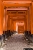 fushimi inari-16