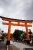 fushimi inari-2