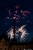 hanabi-13