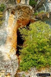 Cingle de Montfort