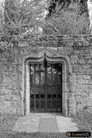 Door II