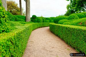 Marqueyssac IX