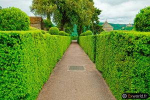 Marqueyssac XIII