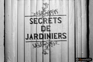 Secrets