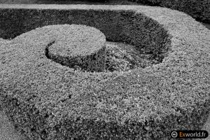 Spirale