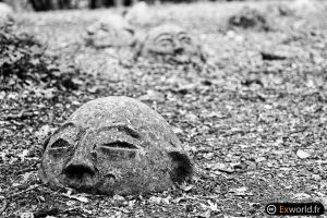 Faces
