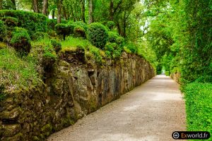 Path III