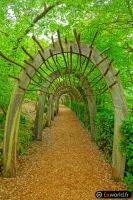 Tunnel