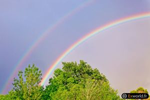 Rainbow I