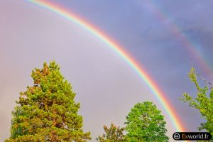 Rainbow II