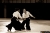 NAMT09_leo_tamaki-15