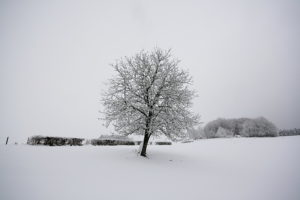 Noir et blanc