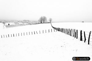 Fences