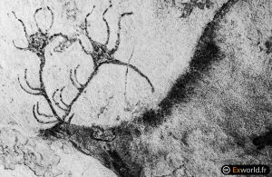 Le Diverticule Axial III