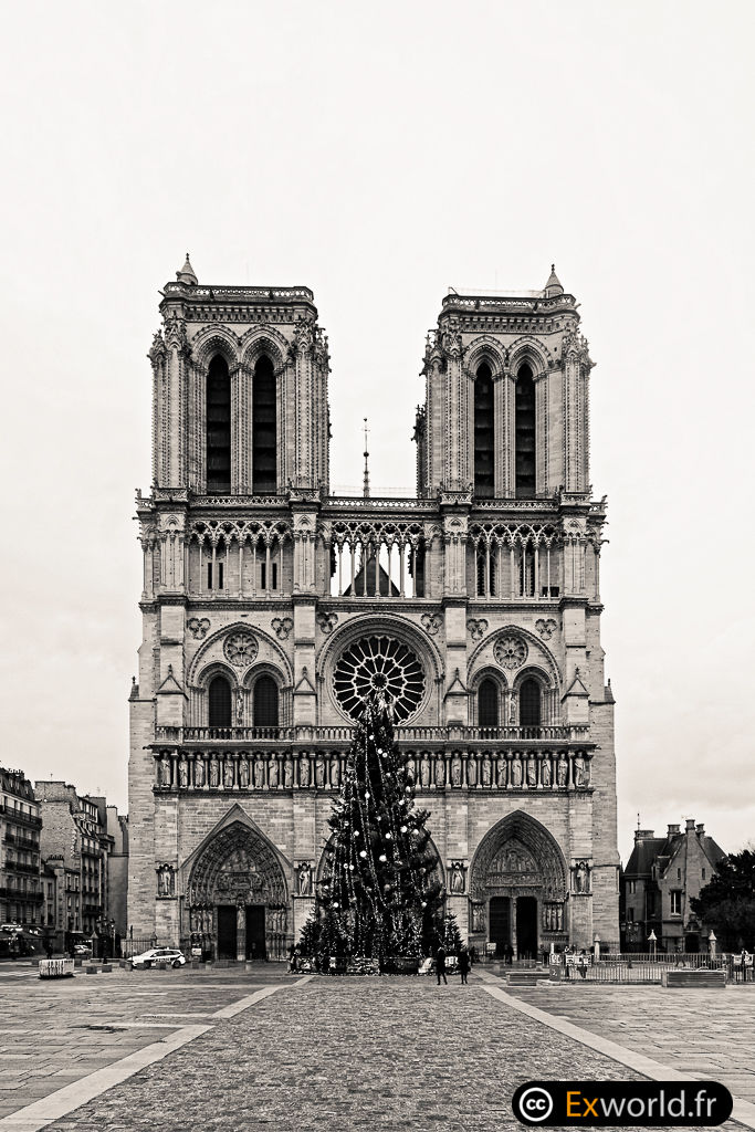Early Notre Dame
