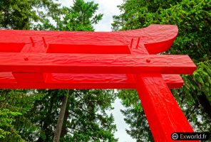 Torii V