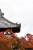 toufukuji-21